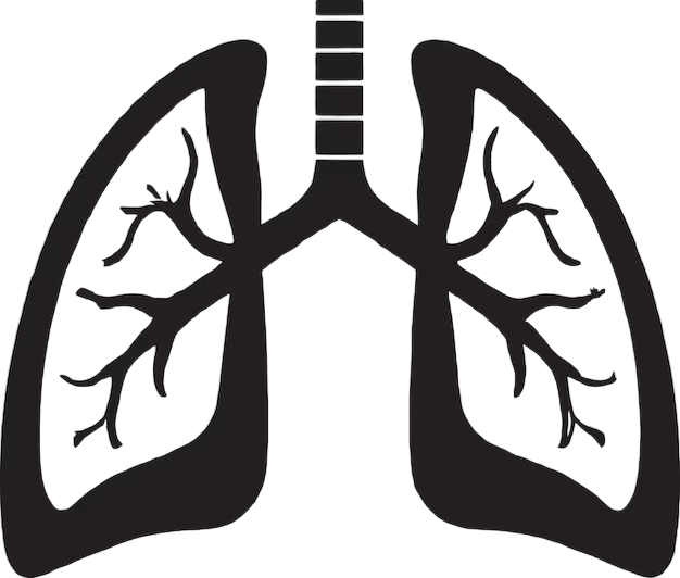 Respiratory system